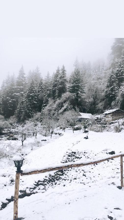 Moksha - By The River Villa Jibhi Екстериор снимка